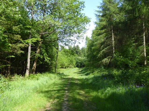Foto 6x4 fahrt longbeech - foto,