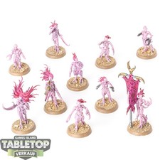 Hedonites slaanesh 10x - hedonites,