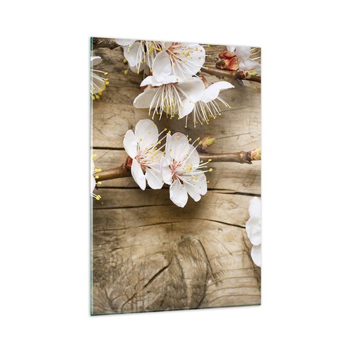 Wandbilder 80x120cm glasbild - 80x120cm,
