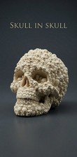 Totenkopf Schädel Skull in