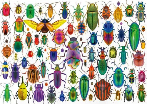 Puzzle bunte käfer - (500,