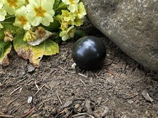 Hikaru dorodango glänzender - hikaru,