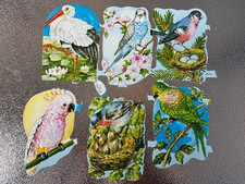 6 Vintage Papier Oblaten bunte Bilder  Vogel  Storch Papagei Sticker um 1960