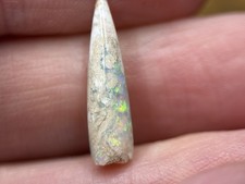 Coober Pedy fossiler Opal