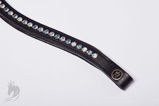 Prinz Eduard gebissloser Zaum bitless Bridle gebisslose Trense anatomisch NEW