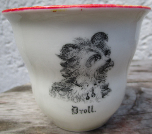 Kpm berlin tasse hund - hund, portrait