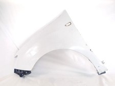 631010135R VORDERER Kotflügel