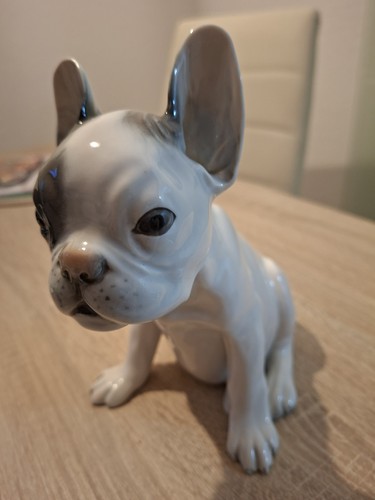 Französiche bulldogge hunde - französiche,