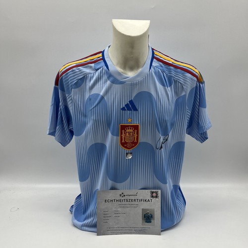 Spanien trikot fernando torres - trikot,