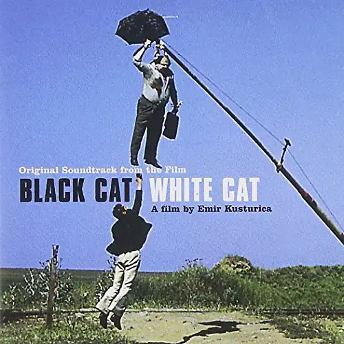 Various schwarze katze - various,