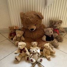 Teddybären aus einer Sammlung, Konvolut 9 Stück