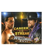 10x8 Zoll WWE/WWF Druck