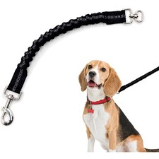 Stabile 45cm Nylon Hundeleine