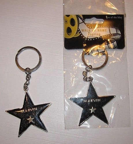 Hollywood walk fame stern - fame,