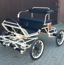 Buggy - Minishetty/Shetty - 16