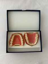 Neuwertiger AG-3 Frasaco-Zahnmodelle + 160 Ersatzzähne (unbenutzt)