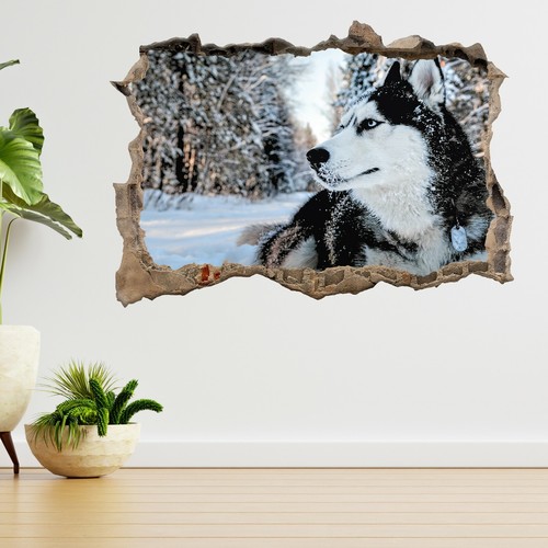 Husky hund schnee 3d - husky,
