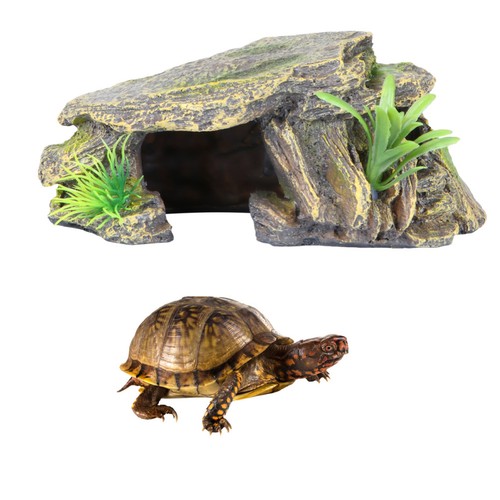 Schildkrötenhaus