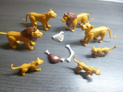 Playmobil Wiltopia