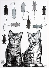 Katzen Süße Träume sanfte