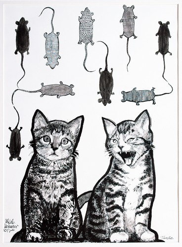 Katzen süße träume sanfte - katzen,