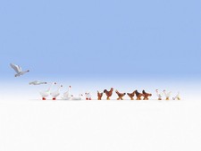 NOCH H0 15772 Hühner und