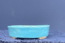 Bonsai Shohin Bonsaischale