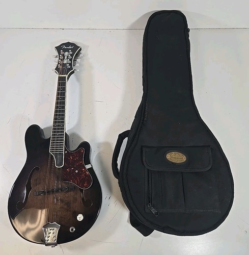 Fender style acoustic - fender, f-style