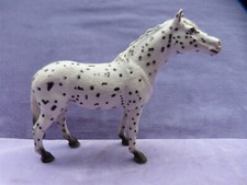 Pferd  Schimmel Schecke