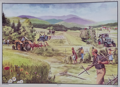 Altes schulwandbild poster - schulwandbild,