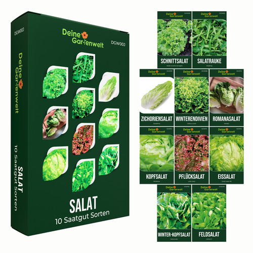 Salatsamenset sorten samen - salatsamenset,