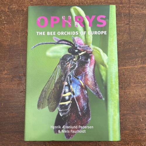 Ophrys the bee - ophrys:,