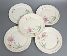 5 x Gebäck Teller 17,5 cm Rosenthal Selb Germany Winifred 