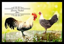 Fußmatte Schmutzfangmatte Hühner Zwerg Brakel silber F1394