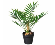Mini Arekapalme künstlich