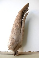 Treibholz Schwemmholz