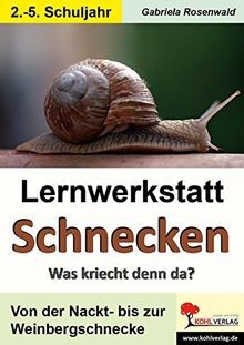 Lernwerkstatt schnecken was - lernwerkstatt,