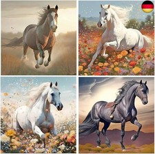 DCIDBEI Diamant Painting