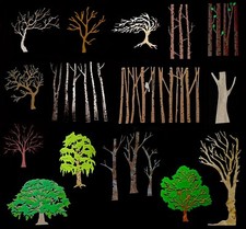 "Baum & Baumstamm" Laubbaum