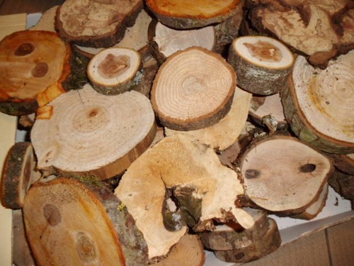 Holzscheiben dekoholz - holzscheiben,,