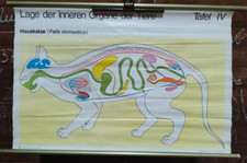 Rollkarte DDR Lage inneren