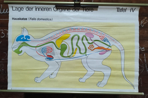 Rollkarte ddr lage inneren - rollkarte,