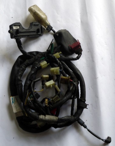 Kabelbaum honda ntv - kabelbaum,