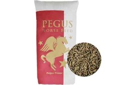 Pegus Pferdefutter Power Extra