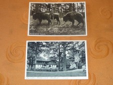 2x AK - Schorfheide -