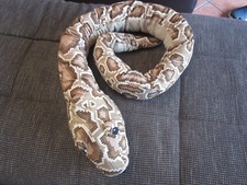 IKEA DJUNGELSKOG Plüschtier Stofftier Handpuppe Schlange/Tigerpython Kuscheltier