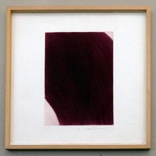 Arnulf RAINER, Fall -