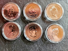 6x 1 Unze  5 Dollar Canada 9999 Silber