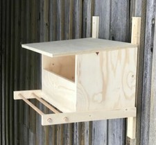 Nistkasten Turmfalke Falke