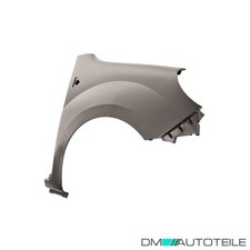 Kotflügel vorne rechts